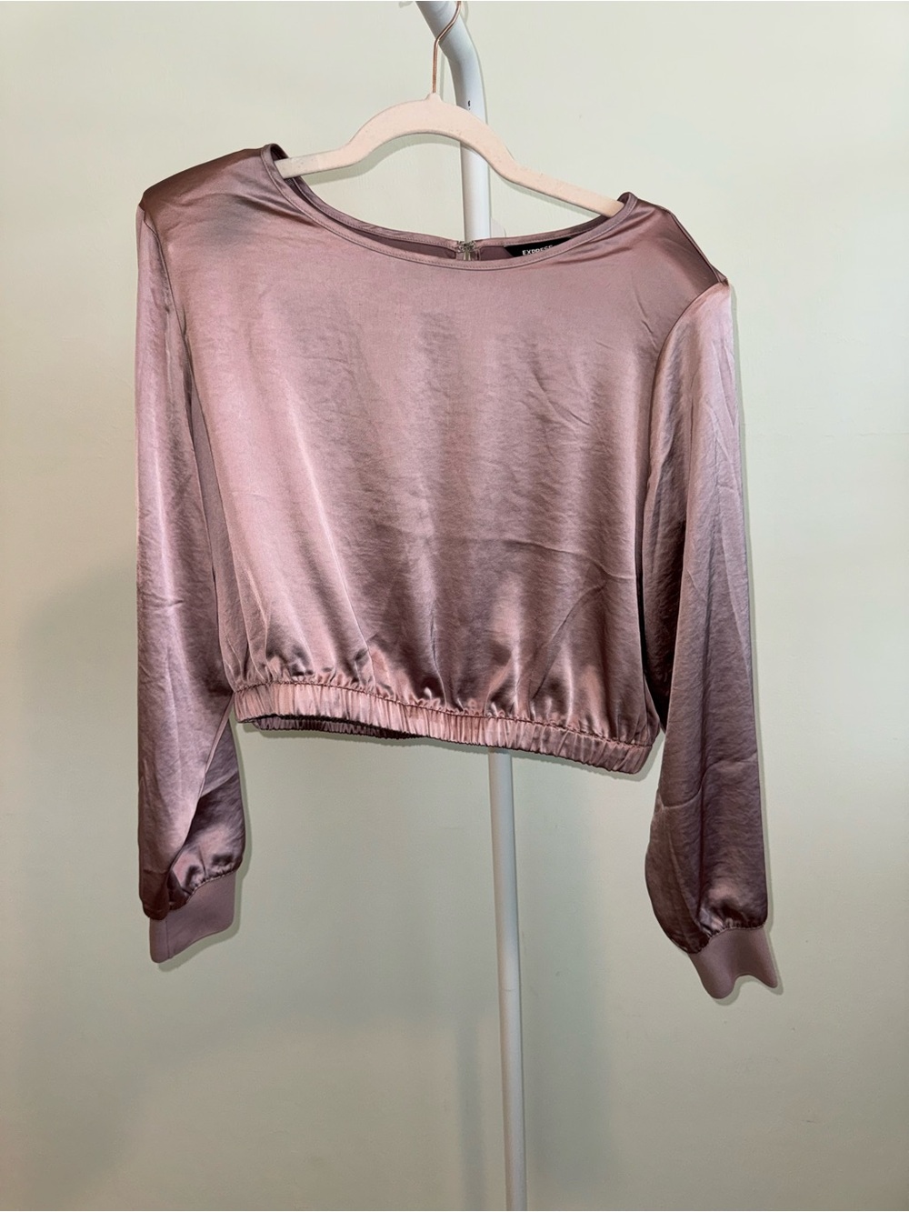 Express Satin Cropped Long-Sleeve Top in Dusty Rose NWT size L